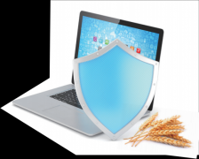 打制食物平安诚信系统 20版—— 从“舌尖上的平