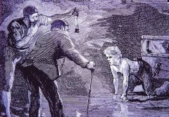 再制社会：19世纪欧洲的社会取化解